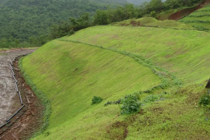 Coir Geo Textiles - Image 9