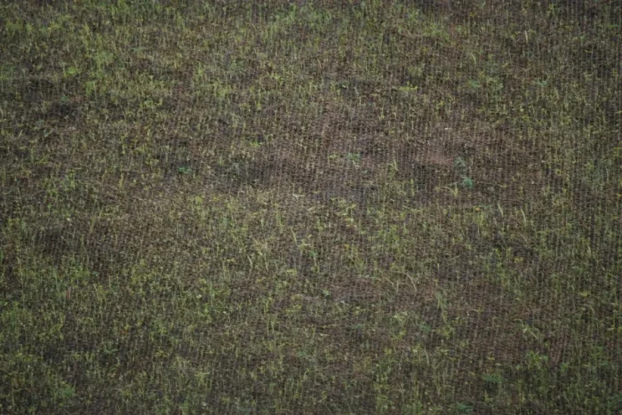 Coir Geo Textiles - Image 11